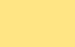 Asd Laminat 1043 300x188 - Asd Laminat
