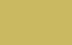 Asd Laminat 1074 300x188 - Asd Laminat
