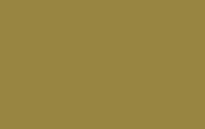 Asd Laminat 1091 300x188 - Asd Laminat