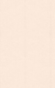 Asd Laminat 5069 188x300 - Asd Laminat