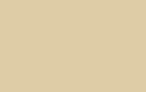 Asd Laminat 8104 300x188 - Asd Laminat
